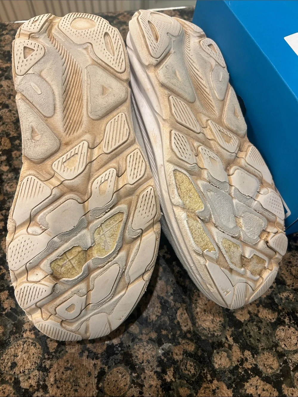 Hoka Clifton Shoes